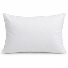 Non Woven / Economy Pillows
